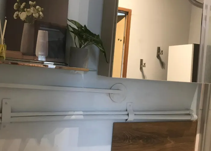 Maly W Sercu Jezyc Apartment Poznan